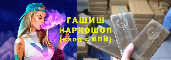 шишки Горняк