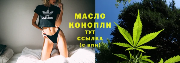 шишки Горняк