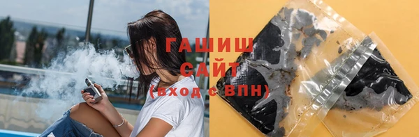 шишки Горняк