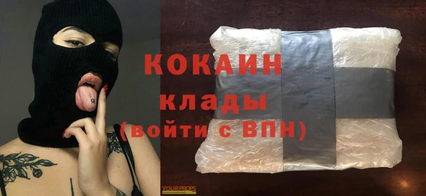 шишки Горняк