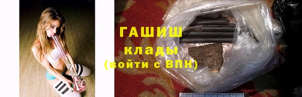 шишки Горняк