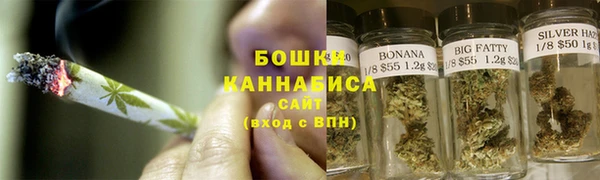 шишки Горняк