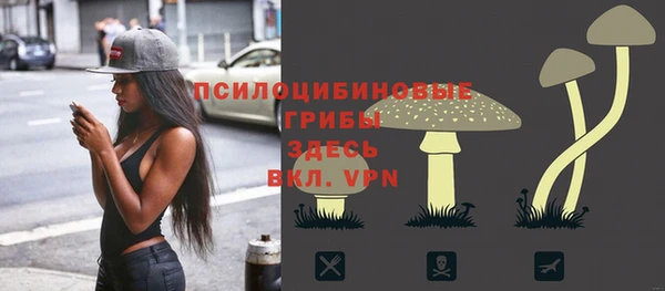 шишки Горняк
