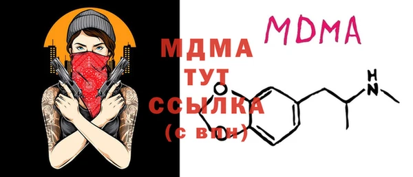 шишки Горняк