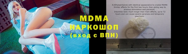шишки Горняк
