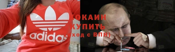 шишки Горняк