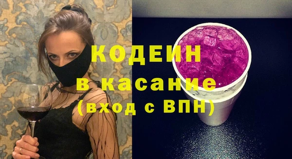 шишки Горняк