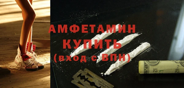 шишки Горняк