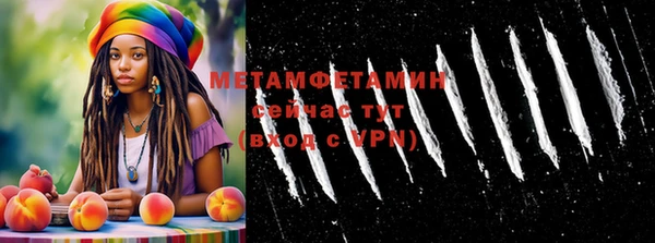 шишки Горняк